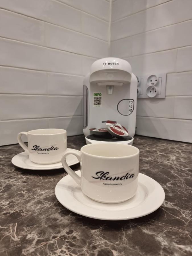 Apartament Skandia Blue Stary Toruń المظهر الخارجي الصورة
